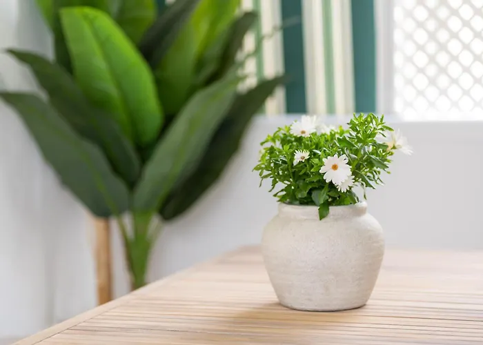 Apartament Casa Luz *